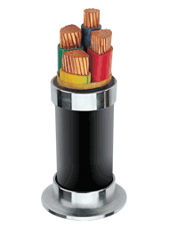 高壓電纜型號(hào):交聯(lián)聚乙烯絕緣電力電纜